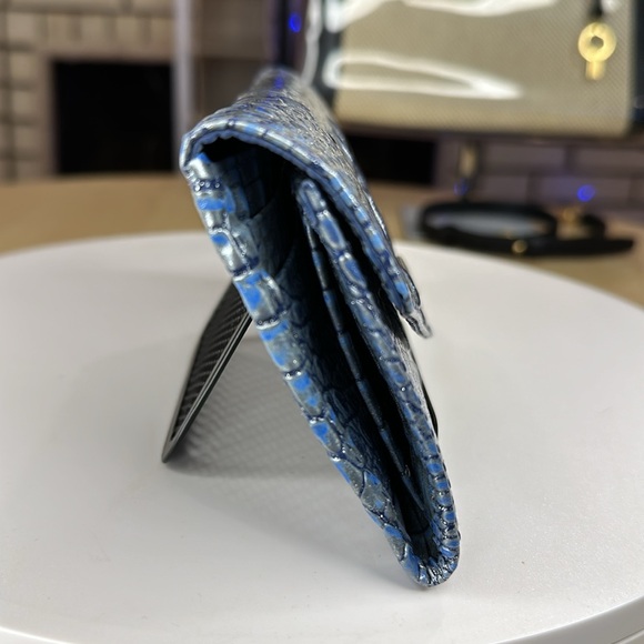 ๐ฅBRAHMIN - S0408 - Picture 5 of 17